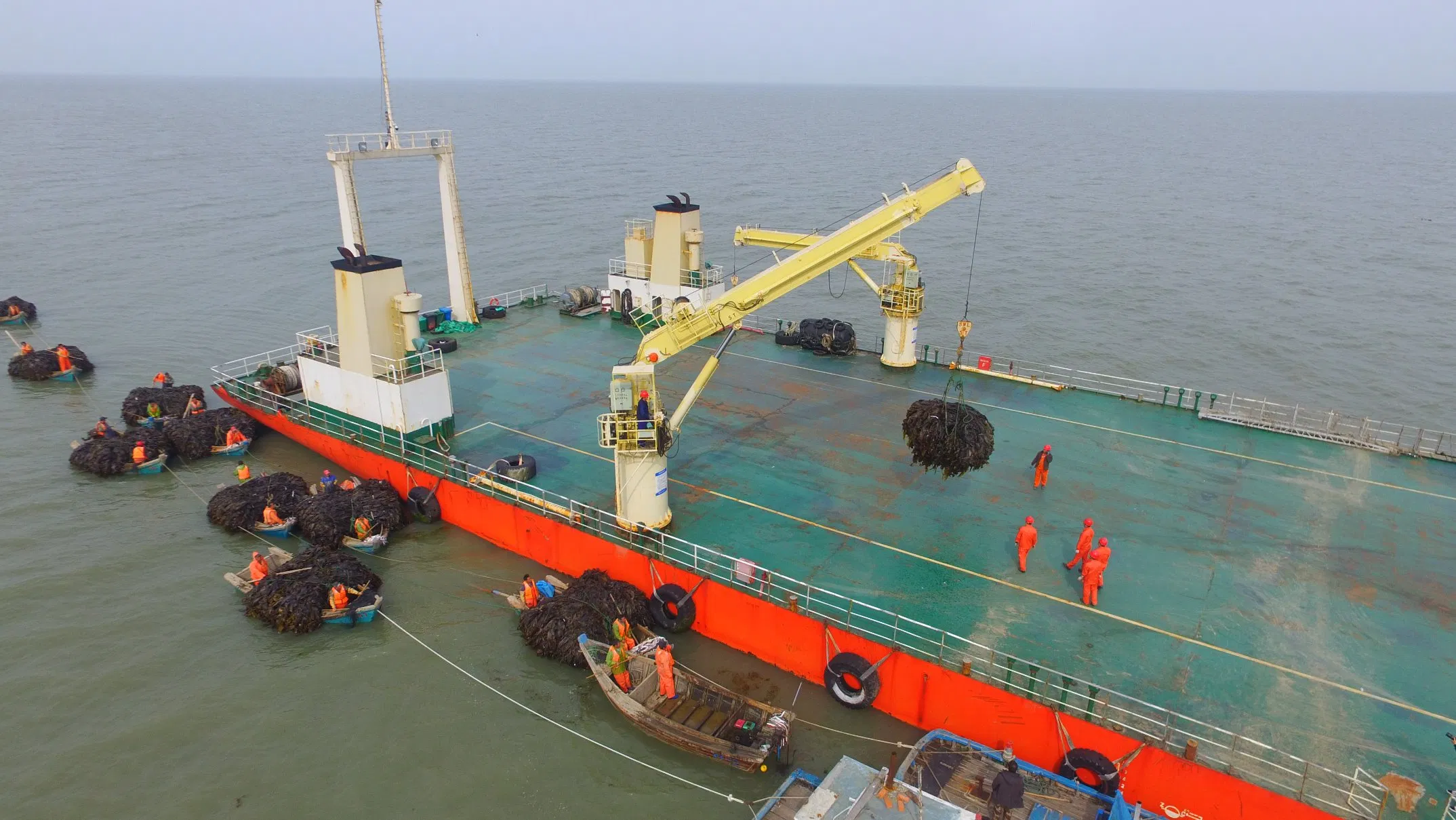 Blan N-4 Slow Release Nitrogen Plus Seaweed