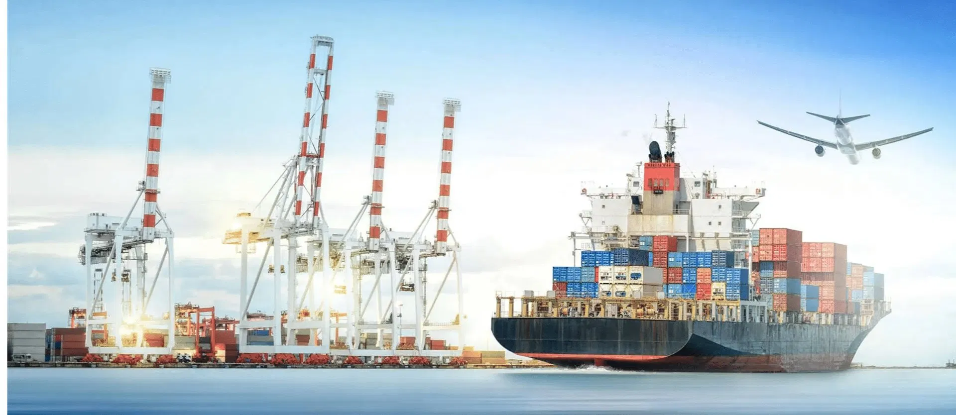 Professional Packaging