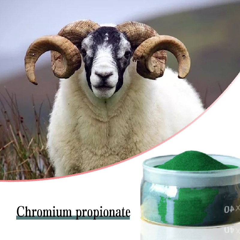 High Quality Feed Grade Chromium Propionate for Large International Ranches Nutrition Enhancer
