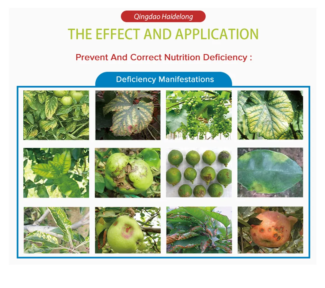 Micronutrient Fertilizer Display