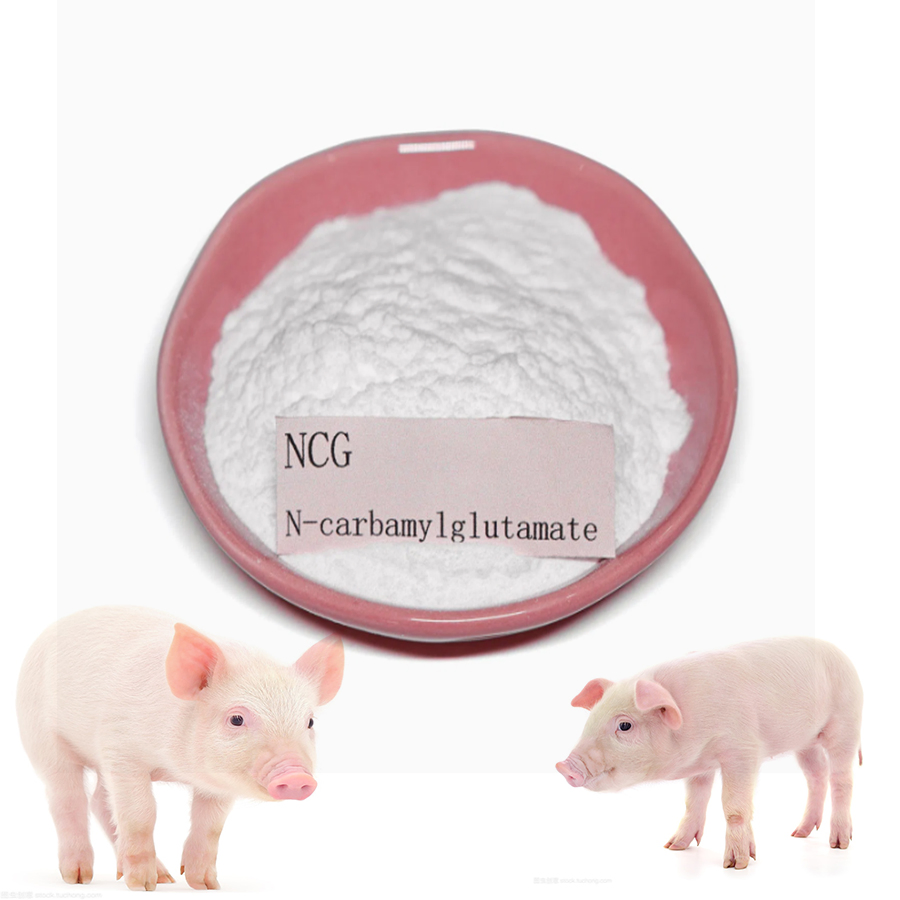 Piglet Growth Promoter Feed Supplement N-Carbamylglutamate (NCG)