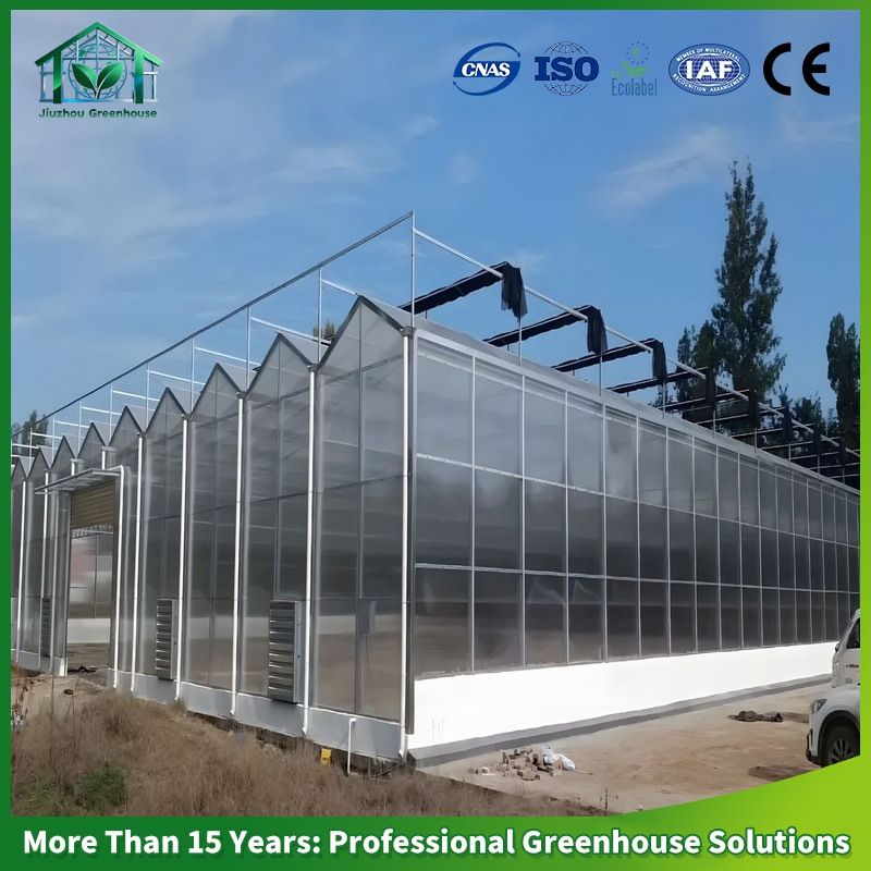 Industrial Hydroponic Glass Greenhouse Solution for Vertical Strawberry Farm