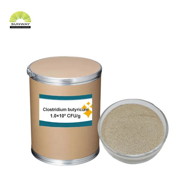 Clostridium Butyricum 1