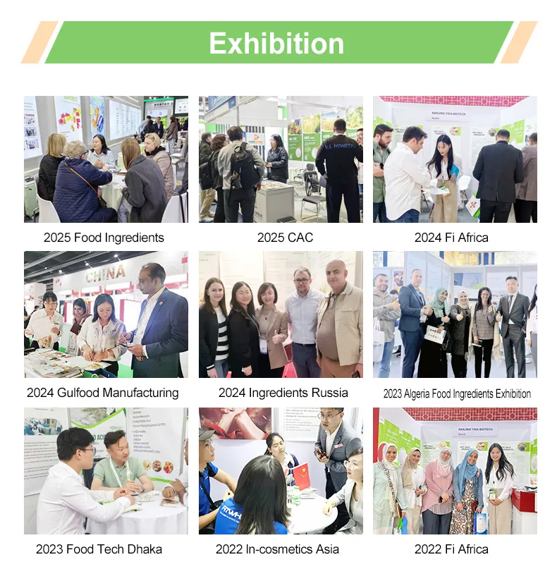 Global Exhibition