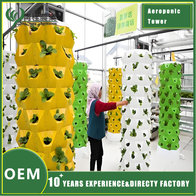 Custom Pineapple Storage Solutions for Efficient Home Organization