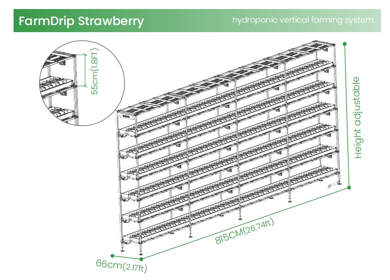 Reinfa Precision Anti-Clogging Drip Irrigation Solution for Vertical Hydroponic Strawberry Farming