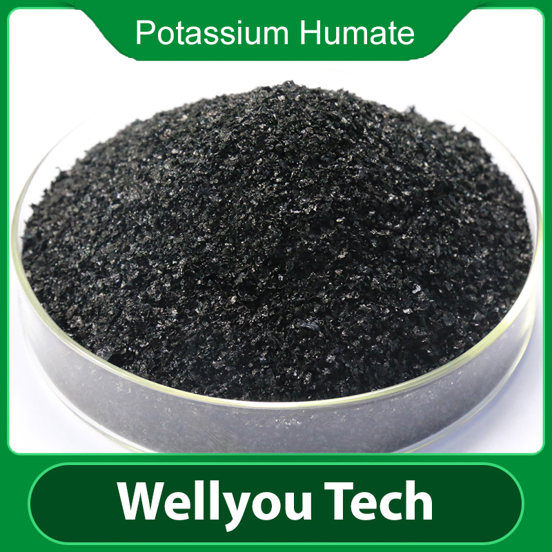 Water Soluble Leonardite Source Potassium Humate Micronutrient Fertilizer Wellyou Tech