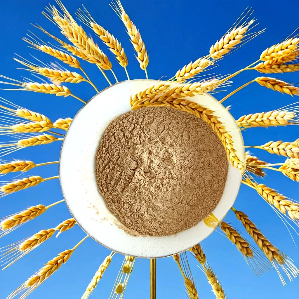 Probiotics Poultry Enzyme - Antibiotic-Free Growth Promoter for Sustainable Farming