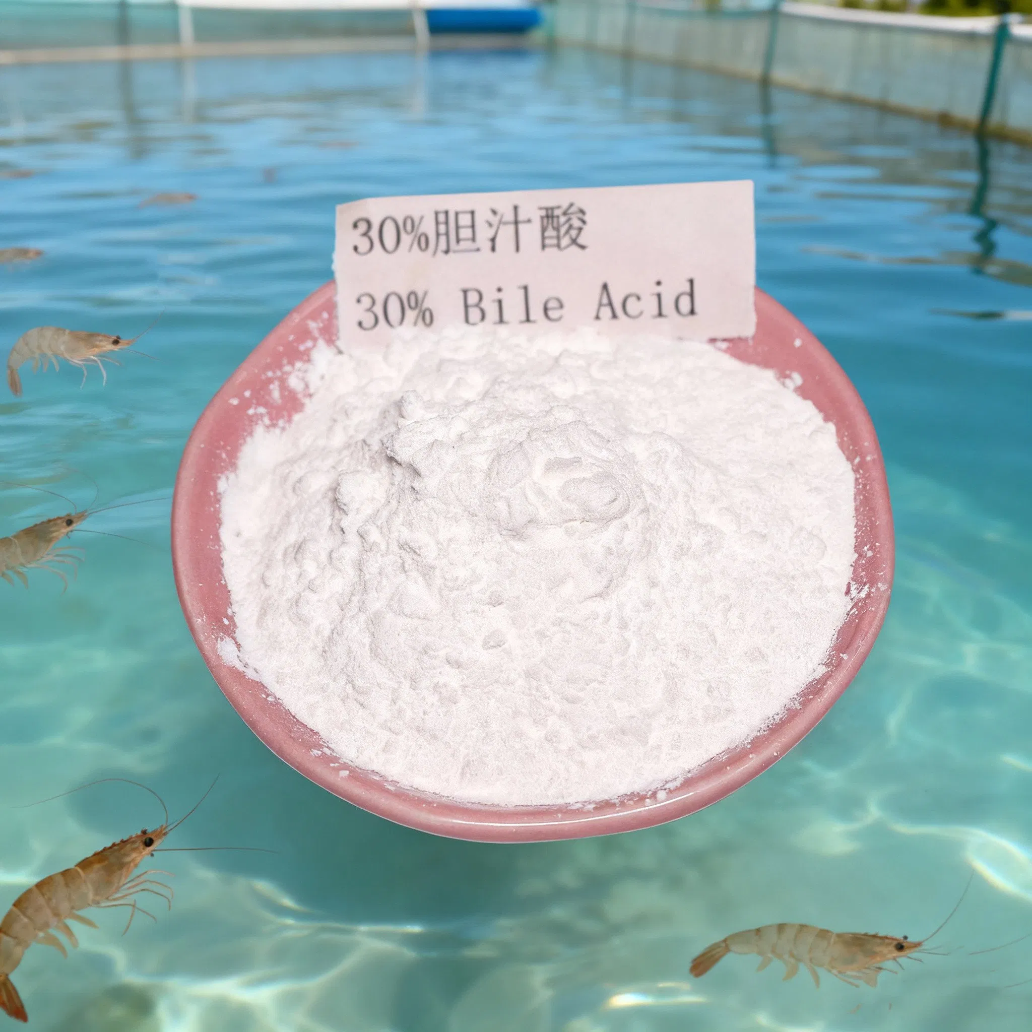 Aquaculture Feed Additive Bile Acid Powder for Fish and Shrimp Liver Health and Growth Promotion
