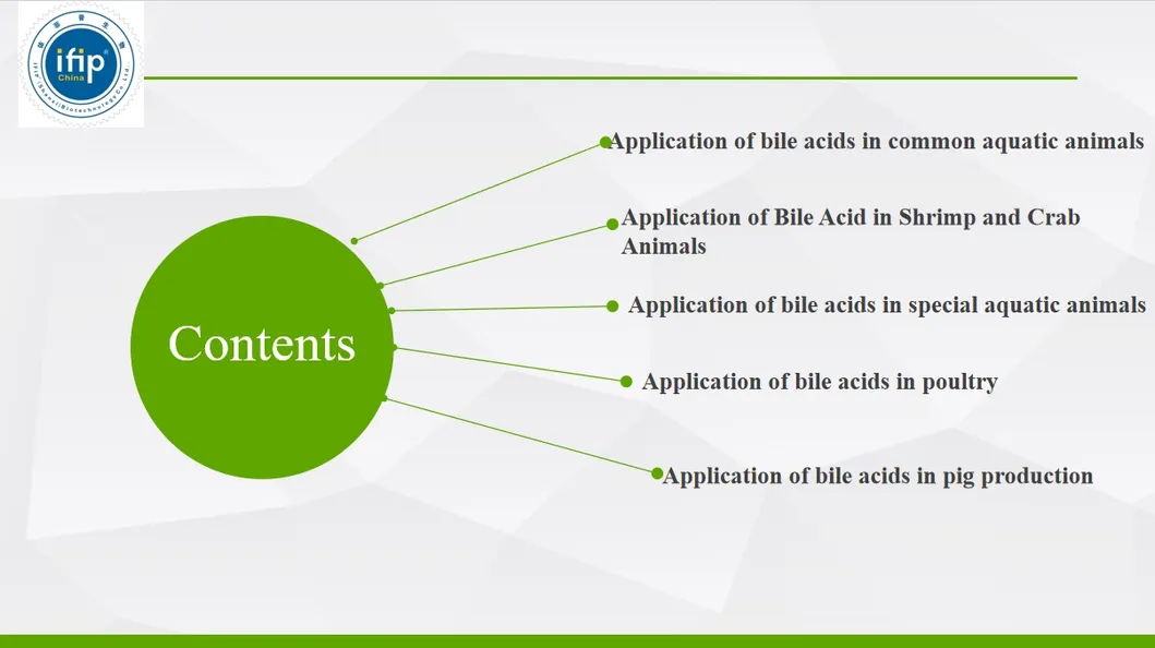 Laying Hens Supplement