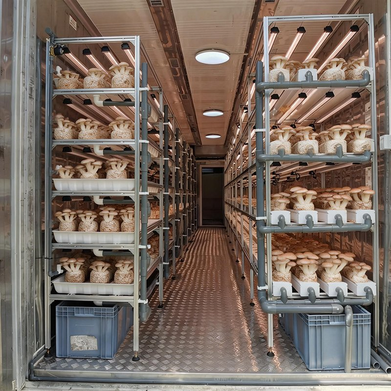 Sustainable Hydroponic System Hydroponic Farm and Grow Container Sustainable Hydroponic Container Solution