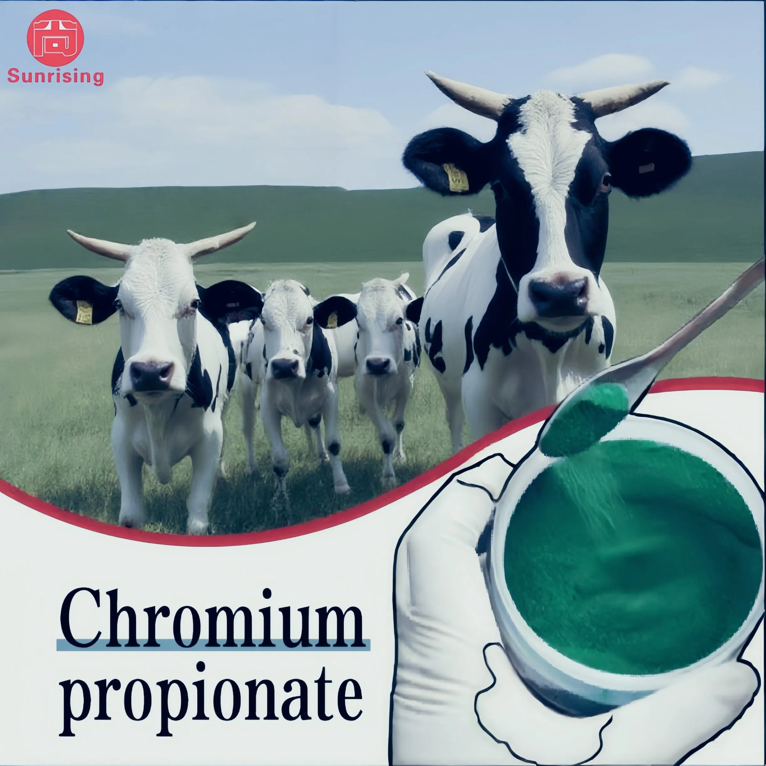 Feed Grade Chromium Propionate Powder - Growth Promoter for Livestock GMP Manufacturer