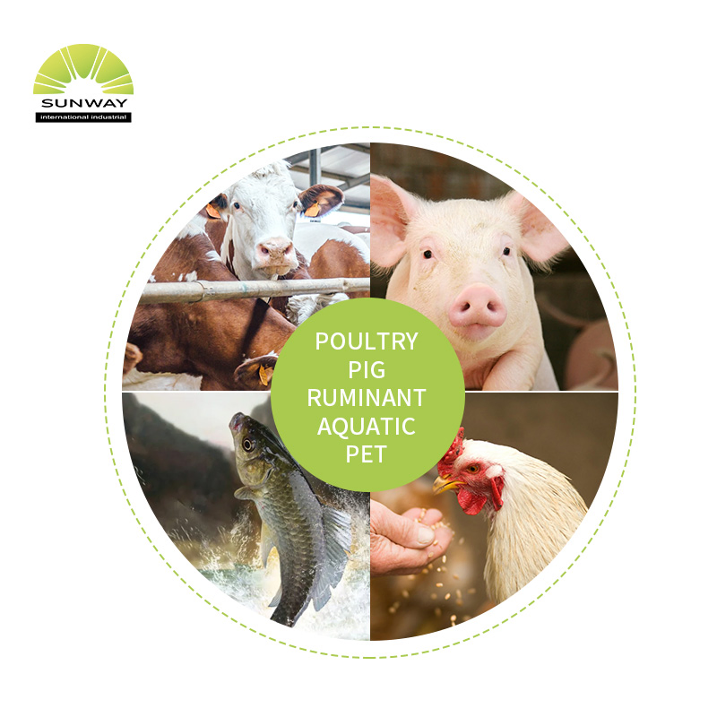 Sunway High Purity Montmorillonite Powder Toxin Binder for Poultry Ruminants