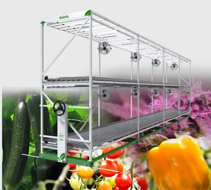 Smart Hydroponic System
