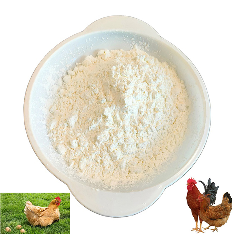 High Quality Growth Promoter for Laying Hens and Broilers 30% Bile Acid for Poultry