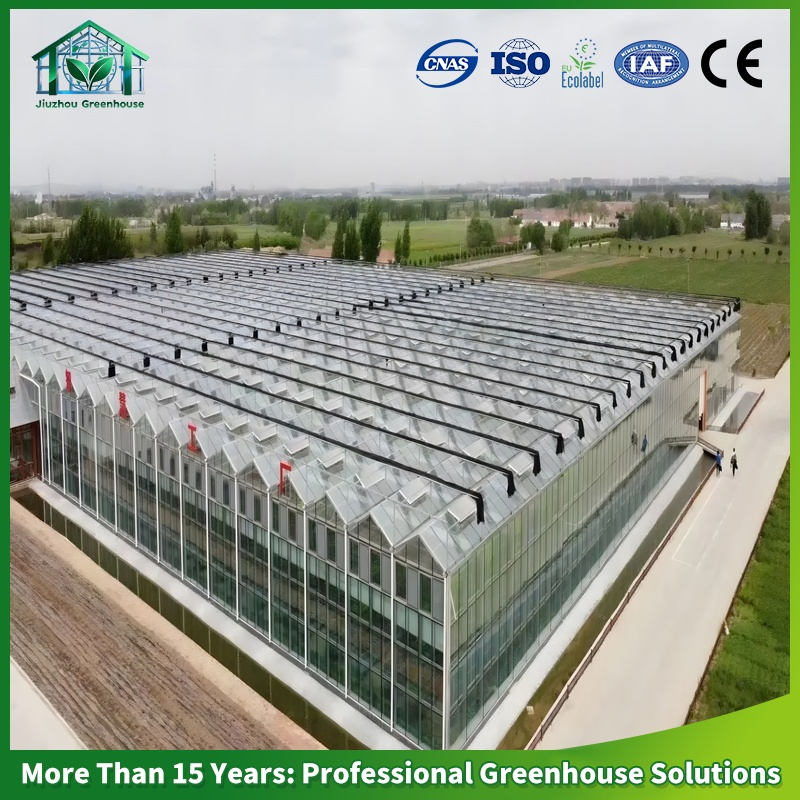 Industrial Hydroponic Glass Greenhouse Solution for Vertical Strawberry Farm