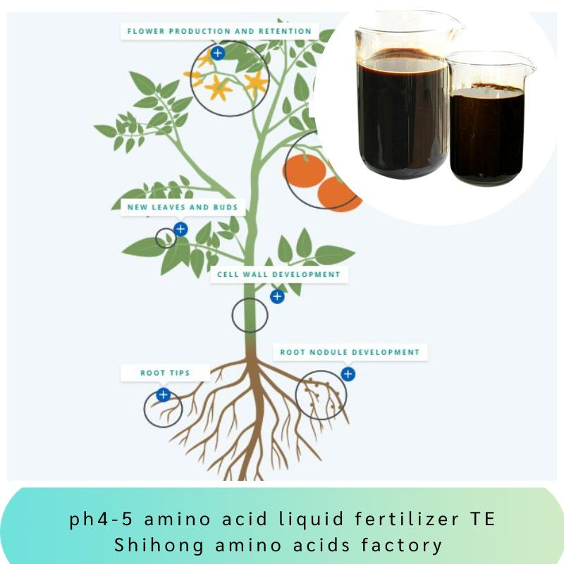 pH 4-5 Amino Acid Chelated Micronutrients Fe Zn B Mn Cu Mo Organic Liquid Fertilizer