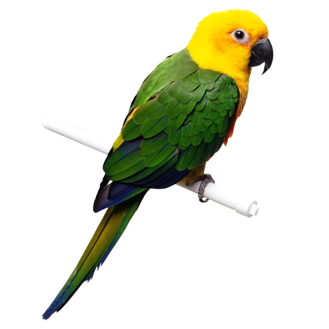 Animal Feed Application