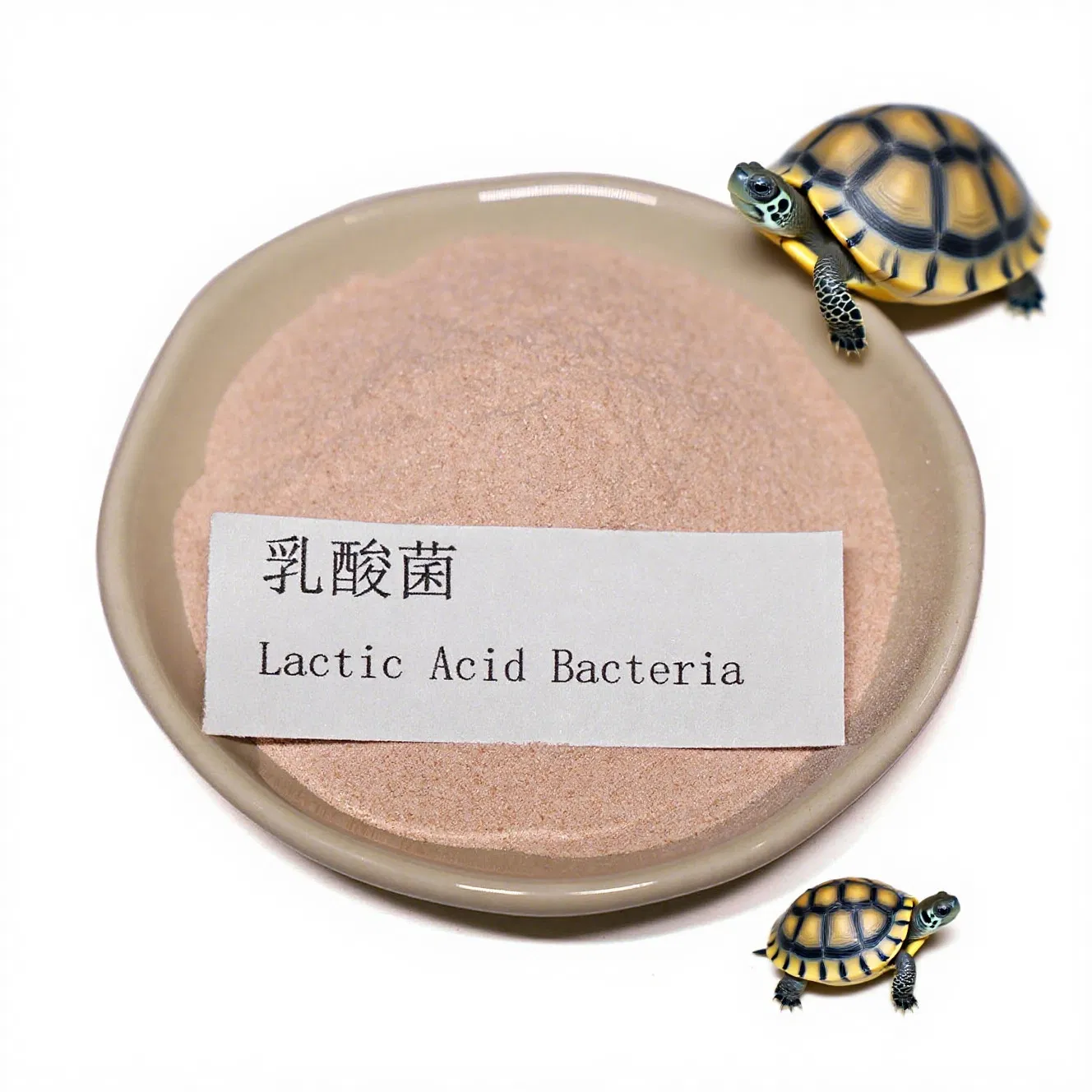 Lactic Acid Bacteria Feed Additive, Suitable for All Stages of Aquaculture, Enhances Immunity and Stress Resistance