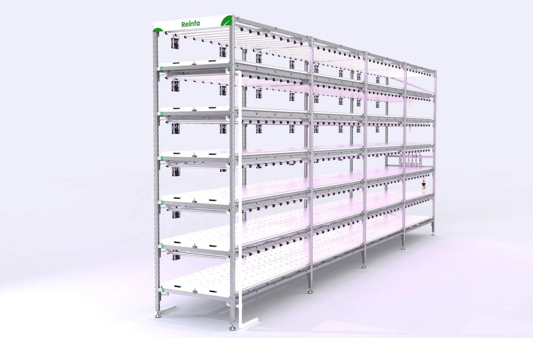 Reinfa Efficient Hydroponic Indoor Lettuce Growing Solution with LED Grow Lights