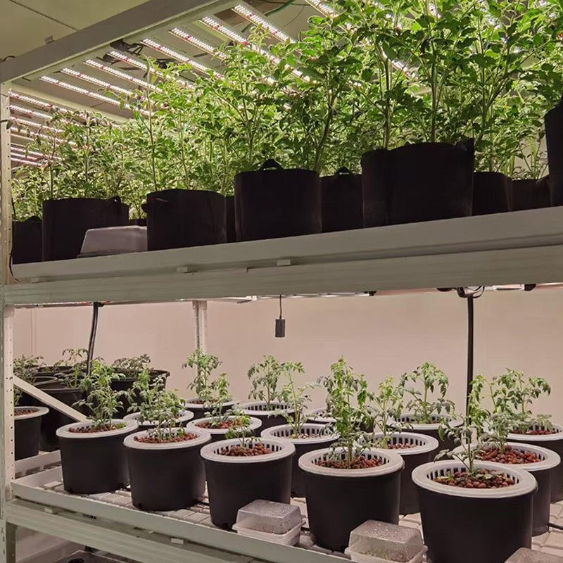 Turnkey Plant Factory Indoor Plant Factory System Turnkey Plant Factory Solution