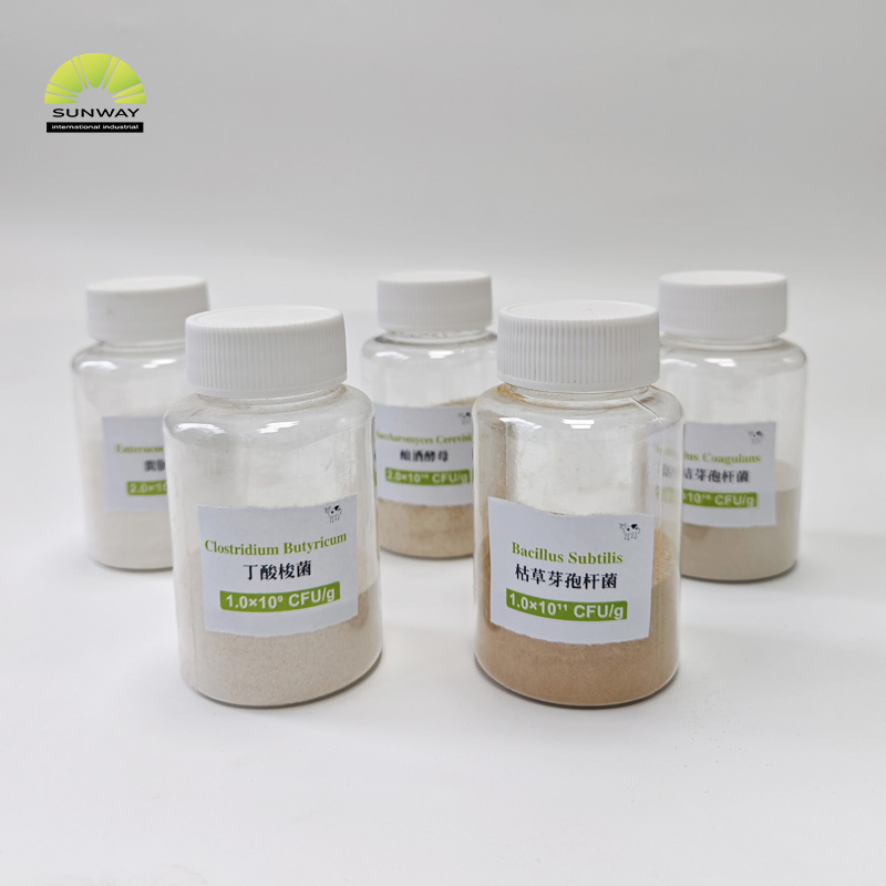 Wholesale Aquaculture Probiotics Feed Additive Clostridium Butyricum for Animal