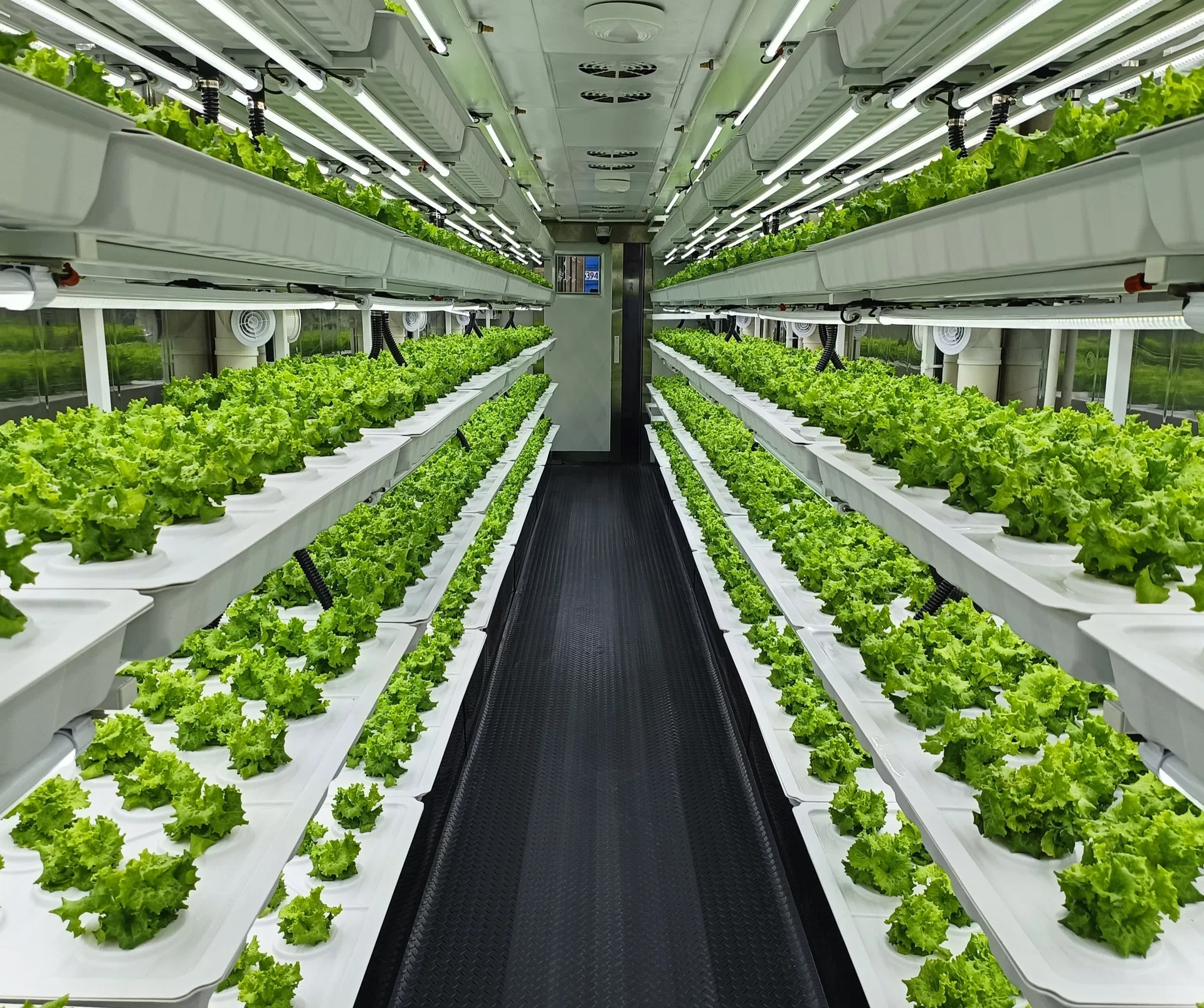 Vertical Hydroponic Rack Detail
