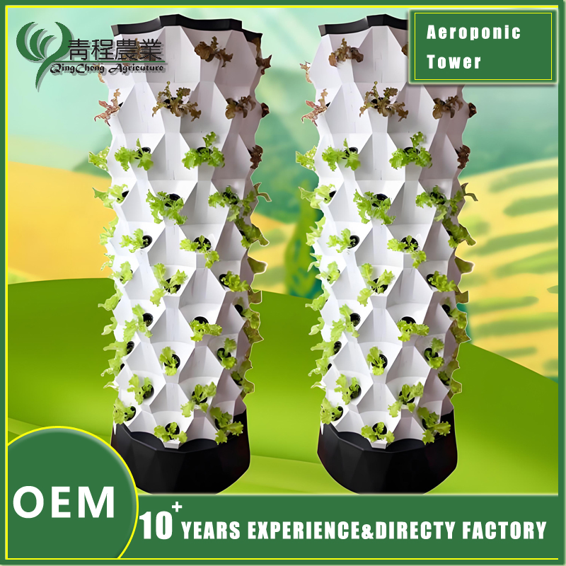 Custom Pineapple Storage Solutions for Efficient Home Organization