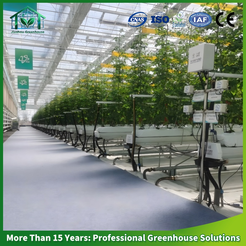 Industrial Hydroponic Glass Greenhouse Solution for Vertical Strawberry Farm
