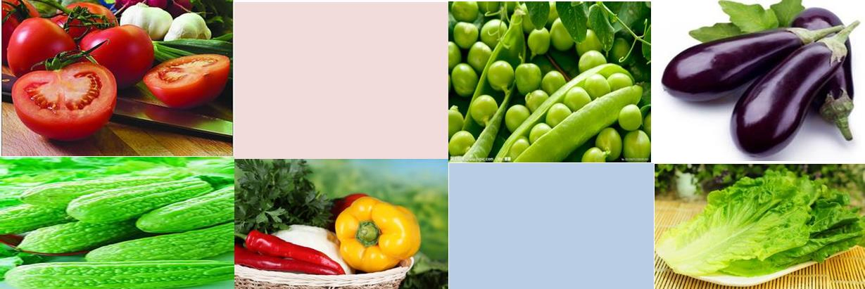 Nutree, Micronutrient Fertilizer, Horticulture, Calcium Fertilizer, Magnesium Fertilizer