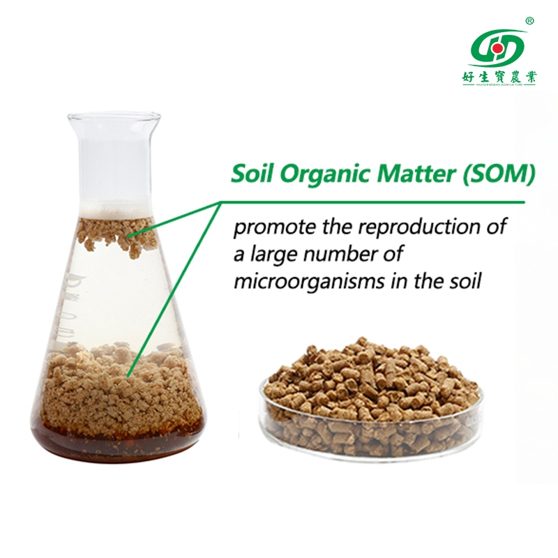 90% Organic Matter Soil Conditioner From China Factory