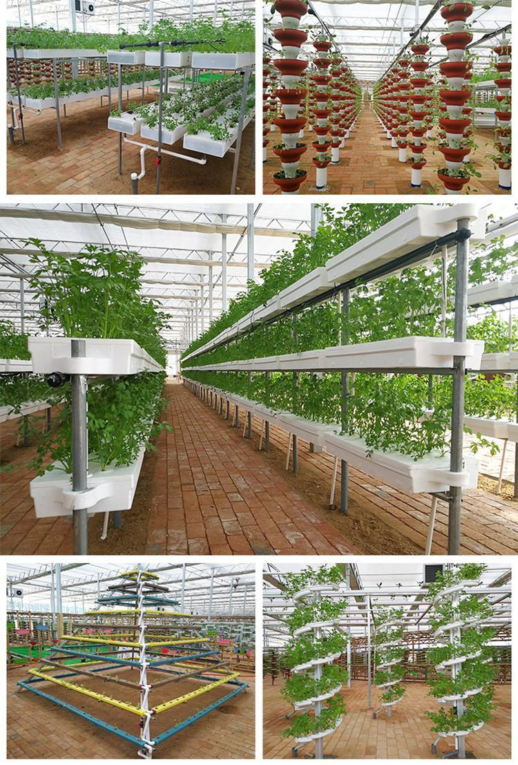 Multi-Span Film Greenhouse for Sale - Hydroponic Farming Solution