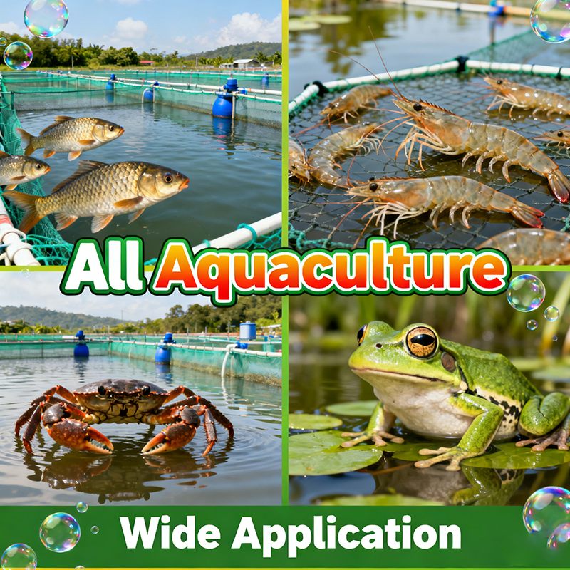 Advanced Oxygen Booster Feed Additives for Healthy Aquaculture Growth