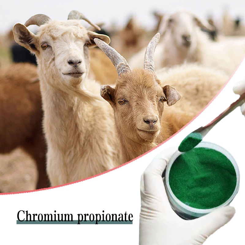 Chromium Propionate Feed Grade Chromium Content 8% Dark Green Powder Nutrition Enhancer
