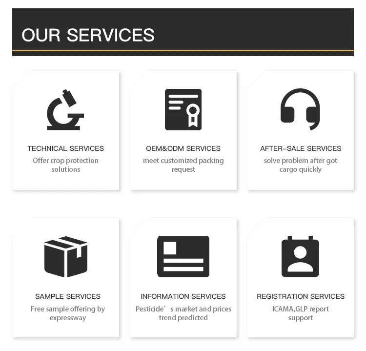 Our Service Process