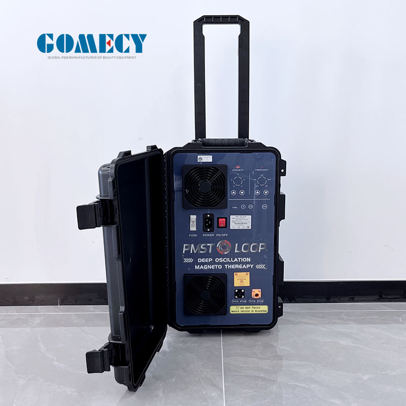 Pulsed Electromagnetic Field Pemf Magneto Therapy Magna Wave Equine Magnetic Equipment for Horses/Livestock/Pets