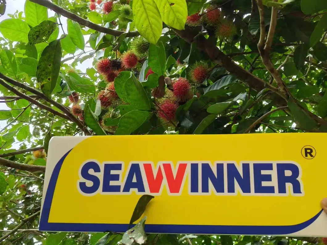 Nutrient Fertilizer Horticulture