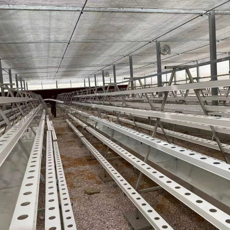 Vertical Farming Solutions Indoor Hydroponic Gardening Nft Setup