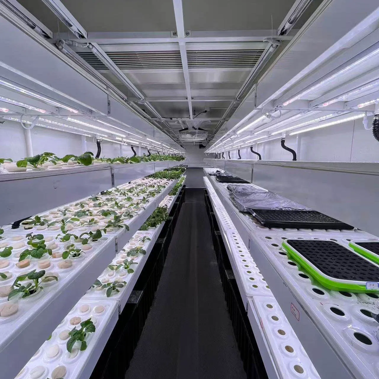 Smart Hydroponic Container Hydroponic System and Hydroponic Farm Smart Hydroponic Growing Solution
