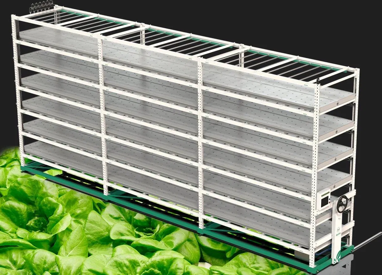 Reinfa Efficient Hydroponic Indoor Lettuce Growing Solution with LED Grow Lights