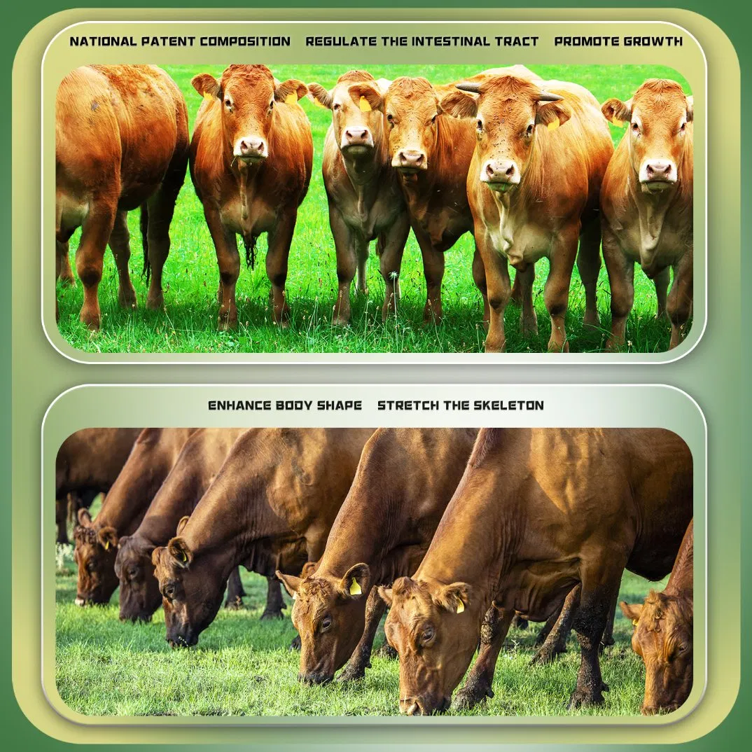 Wholesale Veterinary Ruminant Vitamin Lysine Zinc Oxide Feed Premix Fast Fattening and Rapid Weight Gain Growth Booster Animal Feed Additives for Cattle Sheep