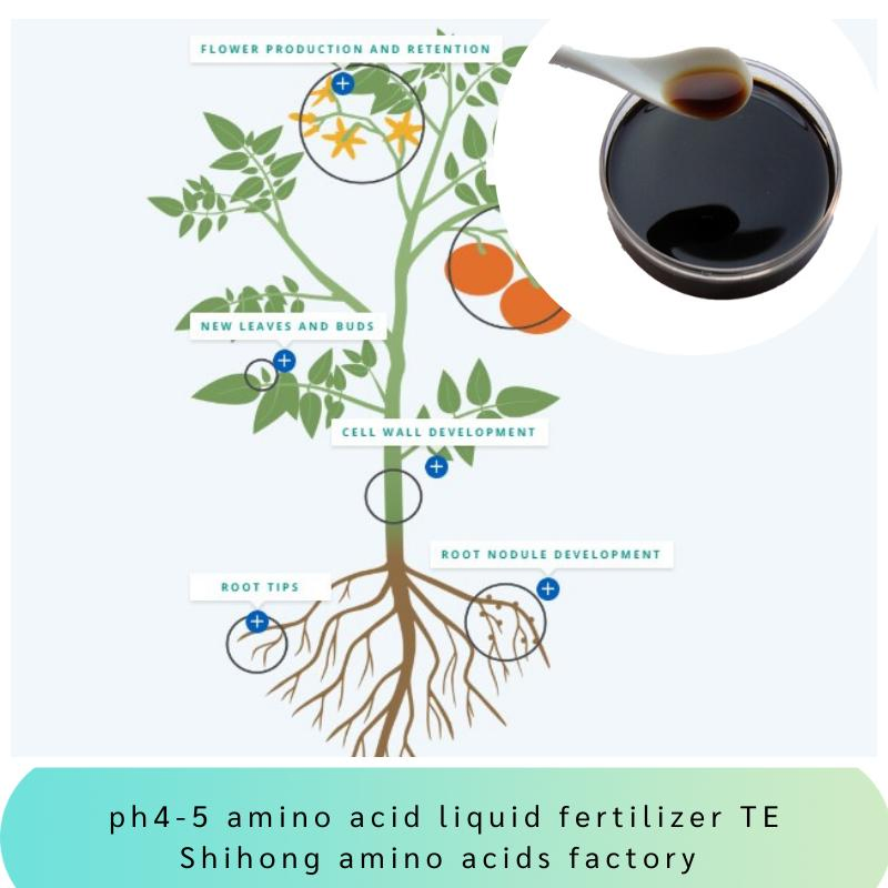 pH 4-5 Amino Acid Chelated Micronutrients Fe Zn B Mn Cu Mo Organic Liquid Fertilizer