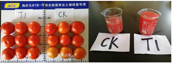 Nutree, Micronutrient Fertilizer, Horticulture, Calcium Fertilizer, Magnesium Fertilizer