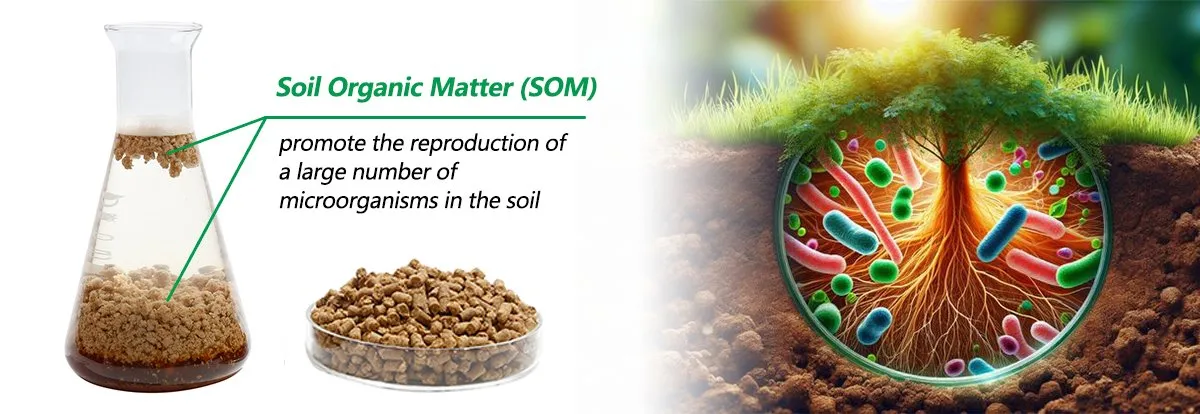 Soil health