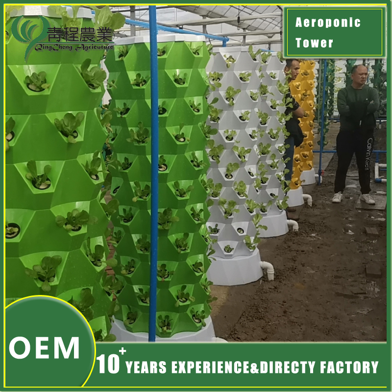 Custom Pineapple Storage Solutions for Efficient Home Organization