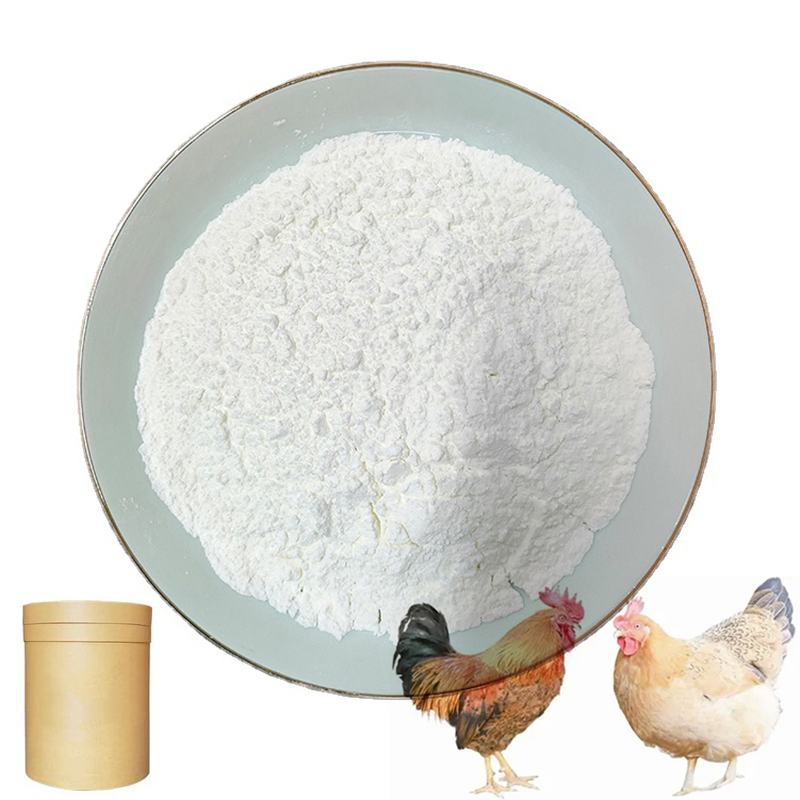 High Quality Growth Promoter for Laying Hens and Broilers 30% Bile Acid for Poultry