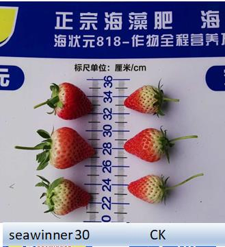 Nutree, Micronutrient Fertilizer, Horticulture, Calcium Fertilizer, Magnesium Fertilizer