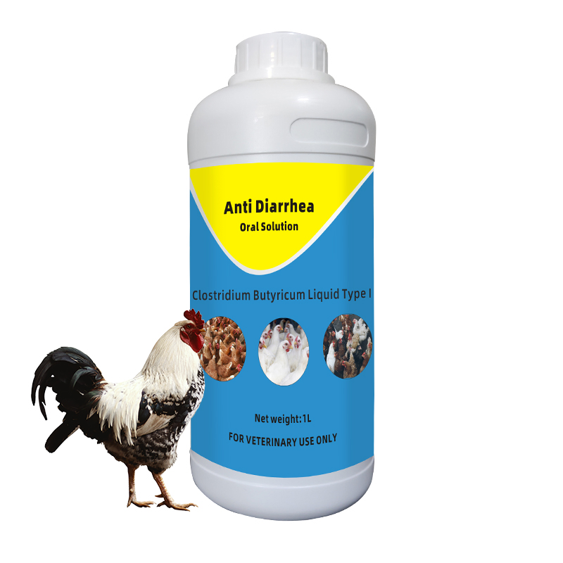 Electrolyte+Vitamin C Oral Solution Poultry Liquid Feed Additive Enhance Immunity