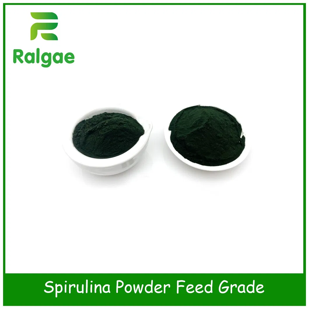 Spirulina Powder 1