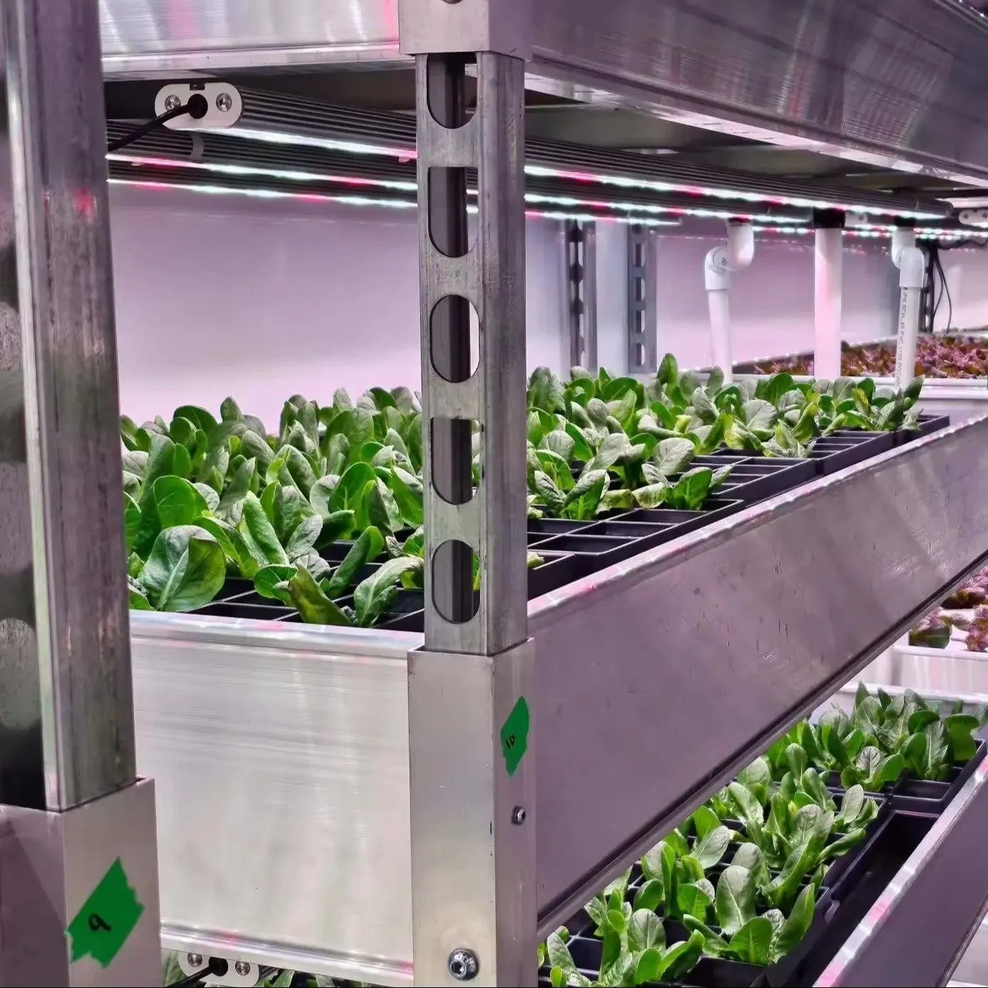 Containerized Hydroponic System Provides Complete Solution for Commercial Farms in Hydroponic Container Farm and Plant Factory Container